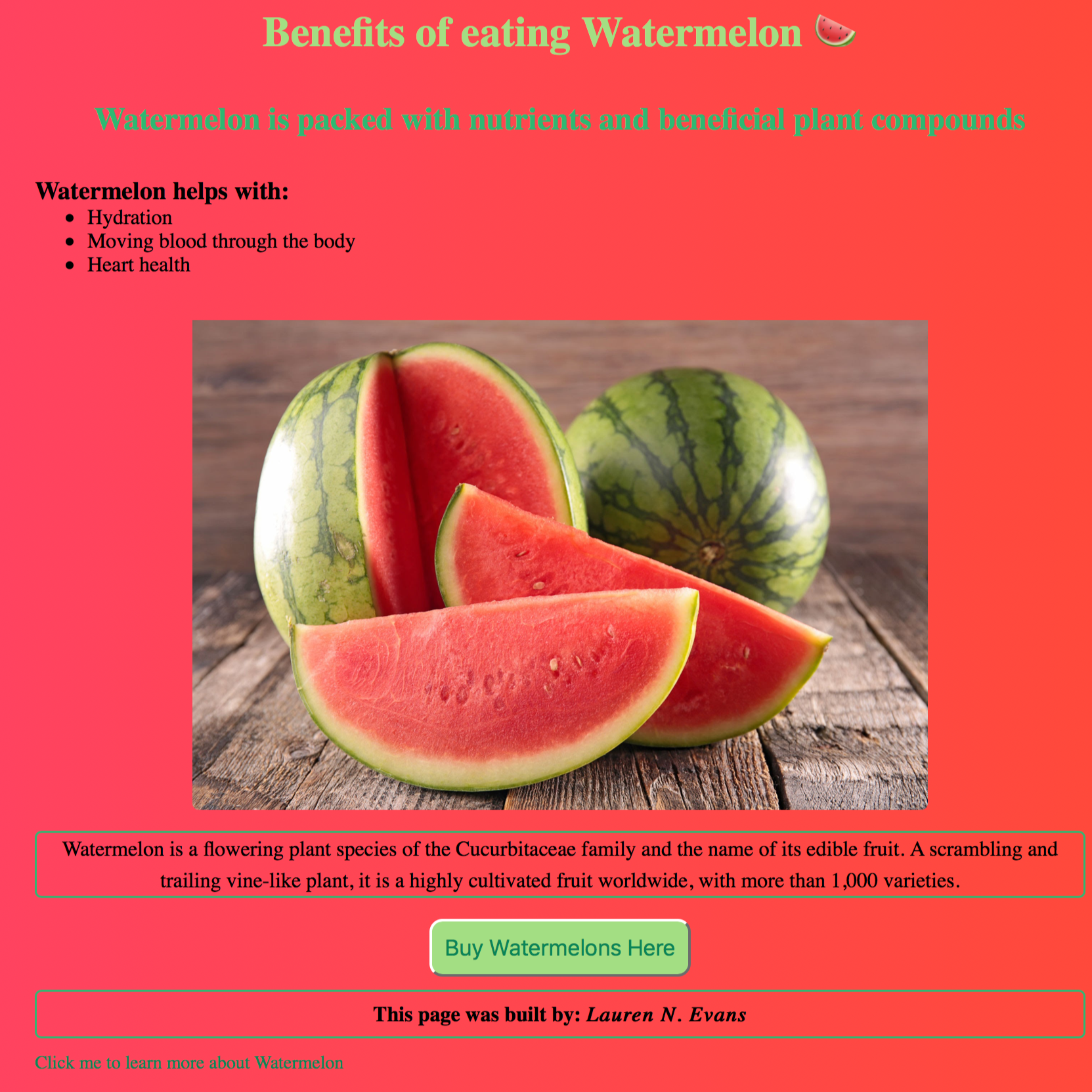 watermelon project preview